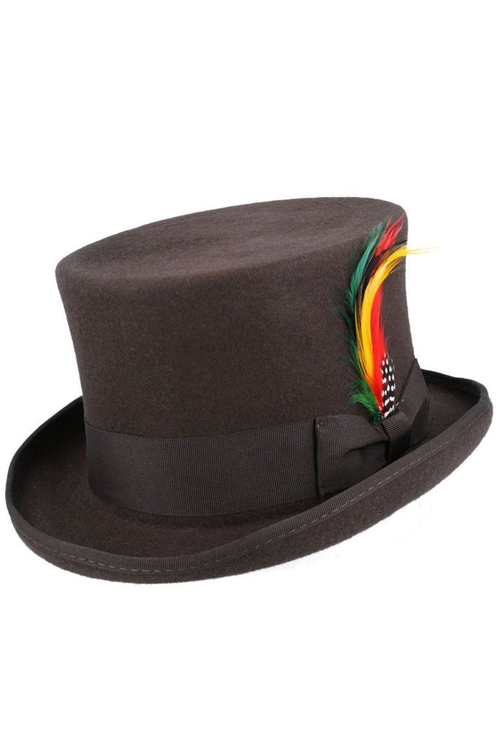 BROWN PURE WOOL TOP HAT WITH FEATHER