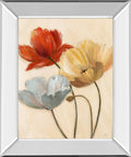 Poppy Palette Il By Nan - Mirror Framed Print Wall Art - Beige