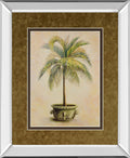 Potted Palm Il - Mirror Framed Print Wall Art - Light Brown