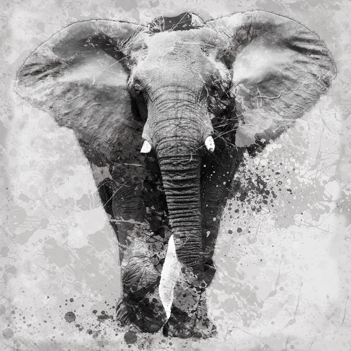 Proud Elephant By Carol Robinson - Silver