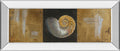 Seashells Il By Patricia Pinto - Mirror Framed Print Wall Art - Gold