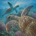 Small - Sea Turtles By Collin Bogle - Blue