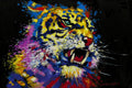 Small - Tiger By E. Anthony Orme - Black