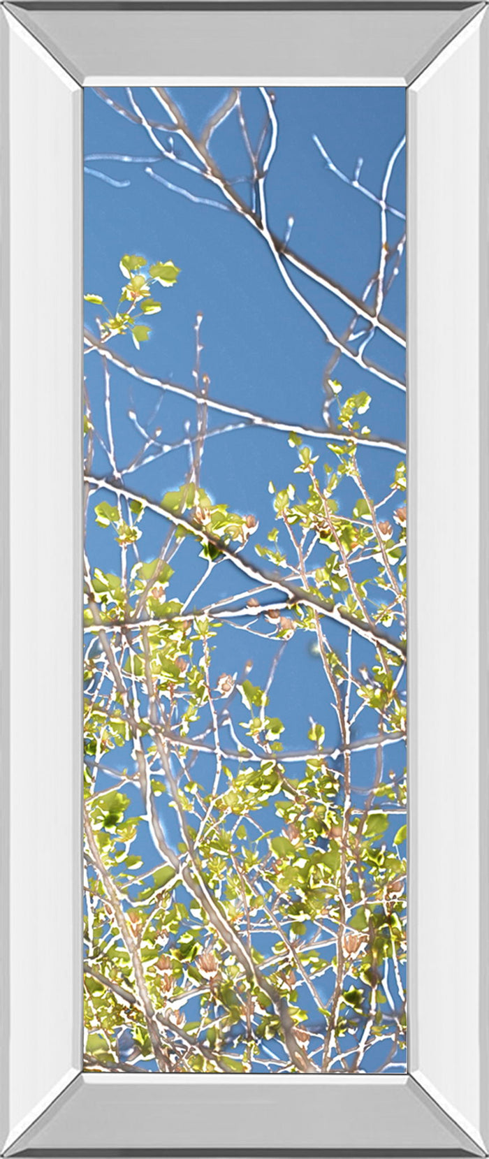Spring Poplars IV By Sharon Chandler - Mirror Framed Print Wall Art - Light Blue