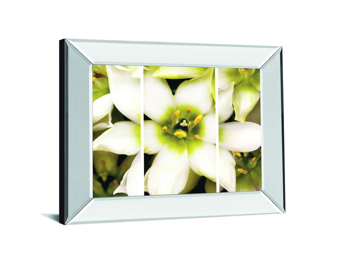 Star Of Bethlehem Triptych By Levine A. Mirrored Frame - Beige